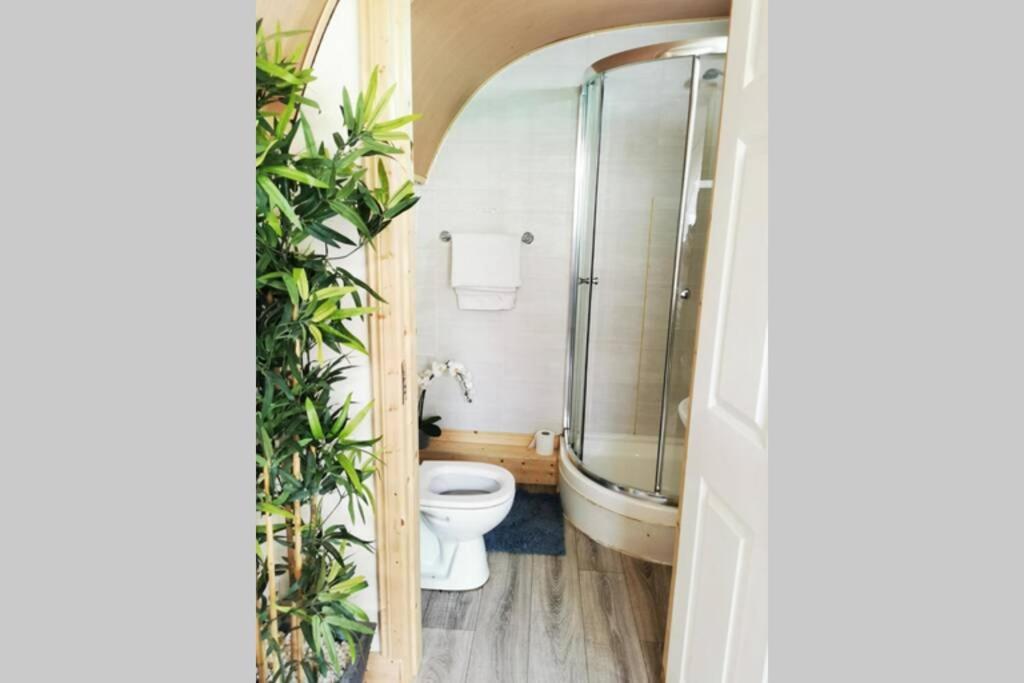 Lazy Lodge Glamping Pod with Hot Tub Port Laoise Zewnętrze zdjęcie